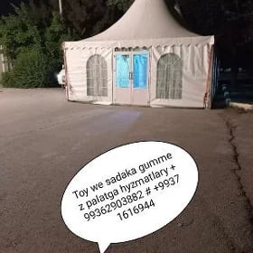 Toý hyzmatlary palata