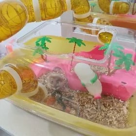 хомяк