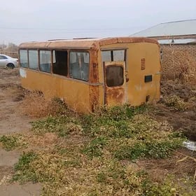wagon