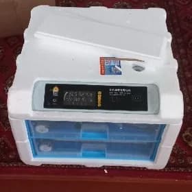 inkubator