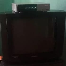 telewizor