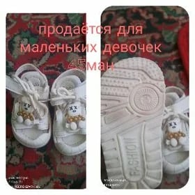 продаётся басаношки