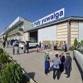 Haly himchiaska