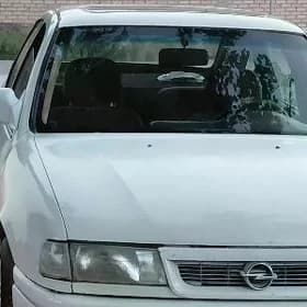 Opel vectra morda
