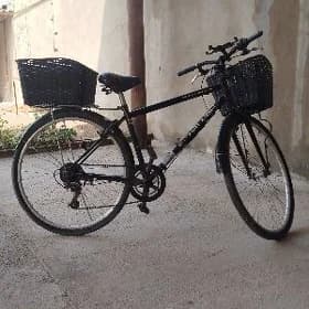 welisopet tigir 28