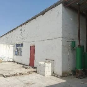 Arenda bos zdanya