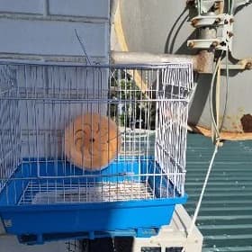 Клетка для хомиков