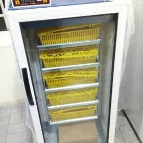 Inkubator