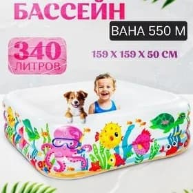 INTEX KICI BASEYKALAR