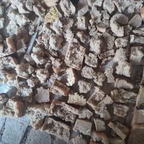 колегеде гурадылан чорек