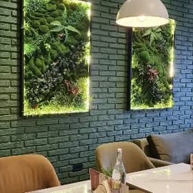 Фитопанно 3д🥦 эксклюзив