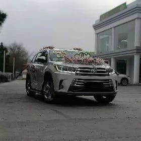 Toy hyzmatlary.Gelnanjy maşyn