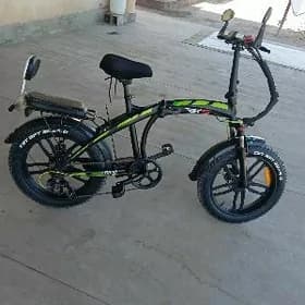 tokly tigir