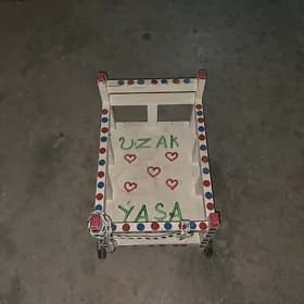 Çaga araba