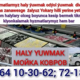 "Ýyldyz" Haly Himçistka