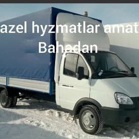gazel