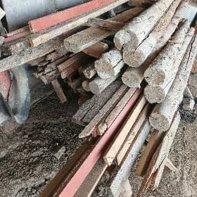 polluk agaç naw strapila