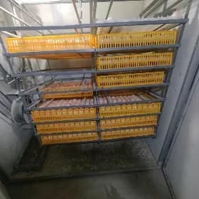 inkubator juje