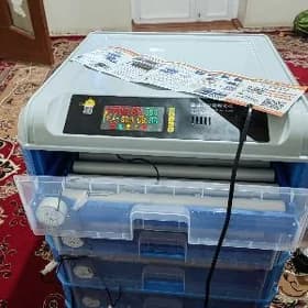 Inkubator 256 yumurtgalyk