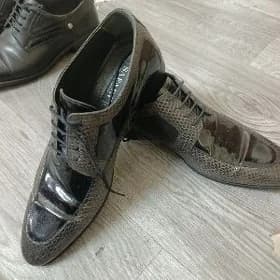 köwiş SAFARI