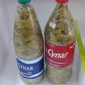 Листья виноградные