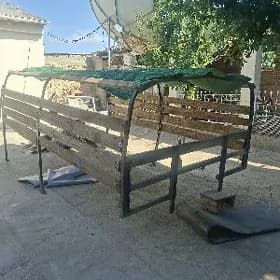 Gazel