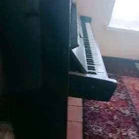 Piyanina