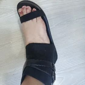 басаножки