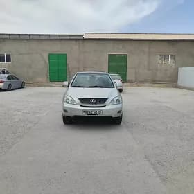 Lexus RX 330 2004