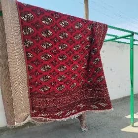 Haly yuwyas