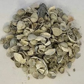 Balykgulak,Rakuska,Towuk üçin