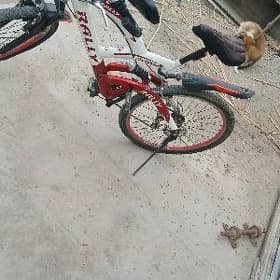 sport