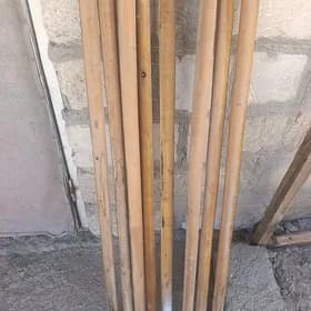 pil sap