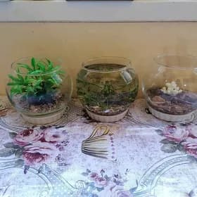 мини аквариумы