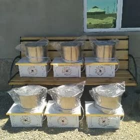 Hamyr yoguryan