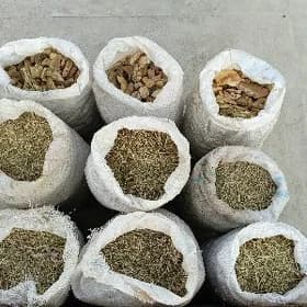 Ot we gaty çörek