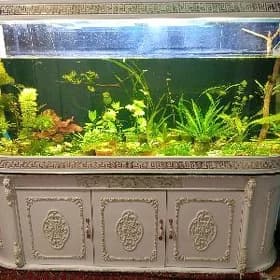Аквариум Akwarium