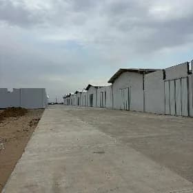 Ammarlar toplumy