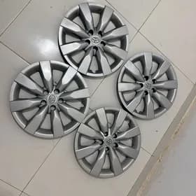 kalpak karolla