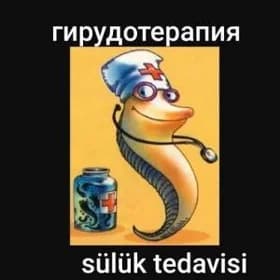 sùlùk пиявка