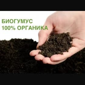 BIOGUMUS/БИОГУМУС