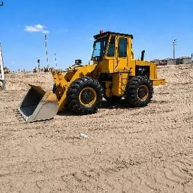LiuGong 855 2001