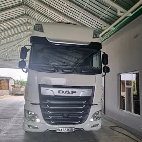 DAF 480 2019