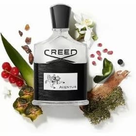 CREED AVENTUS