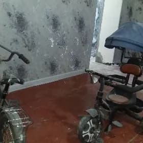 velsopetlar