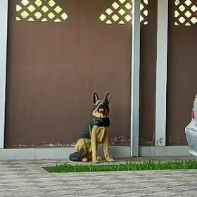 Авчарка хейкел