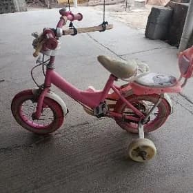 çaga tigir