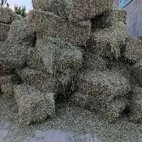 yorunja bede