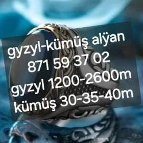 gyzyl lümüş alÿan