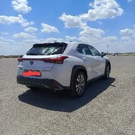 Lexus UX 200 2021